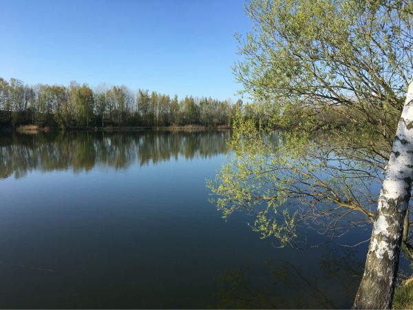 Penkwitzer See (Spora) angeln