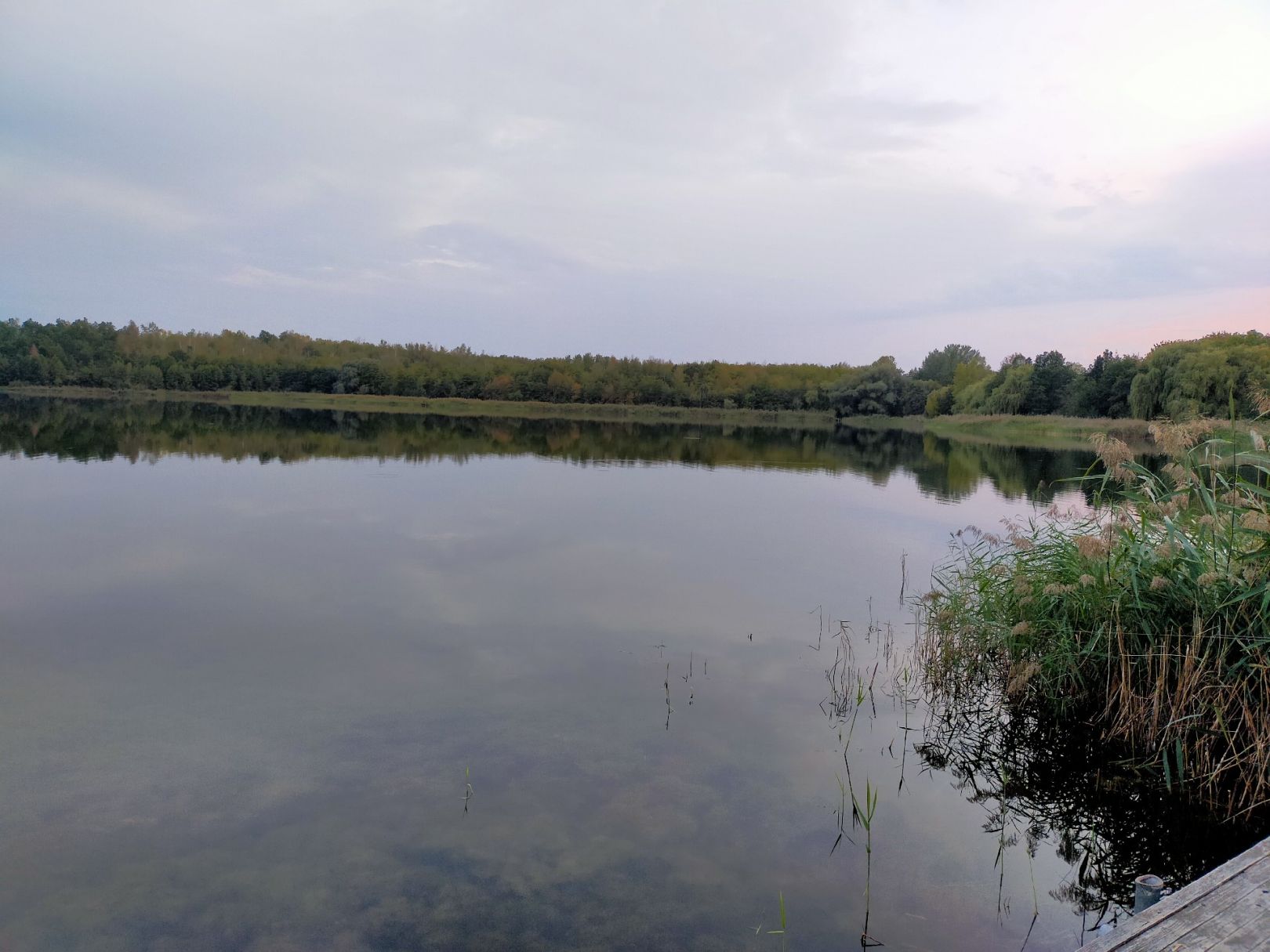 Hassesee (Lunstädt) angeln