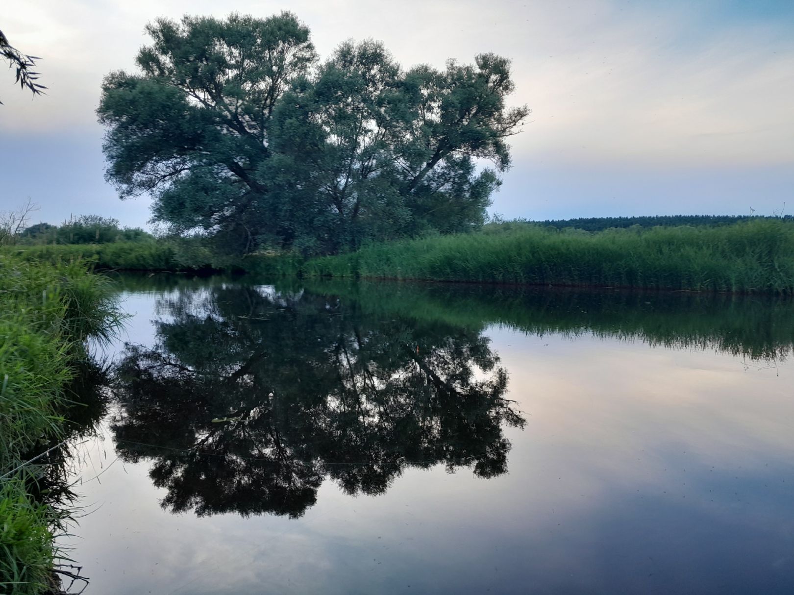 Peenekanal (Neukalen) angeln