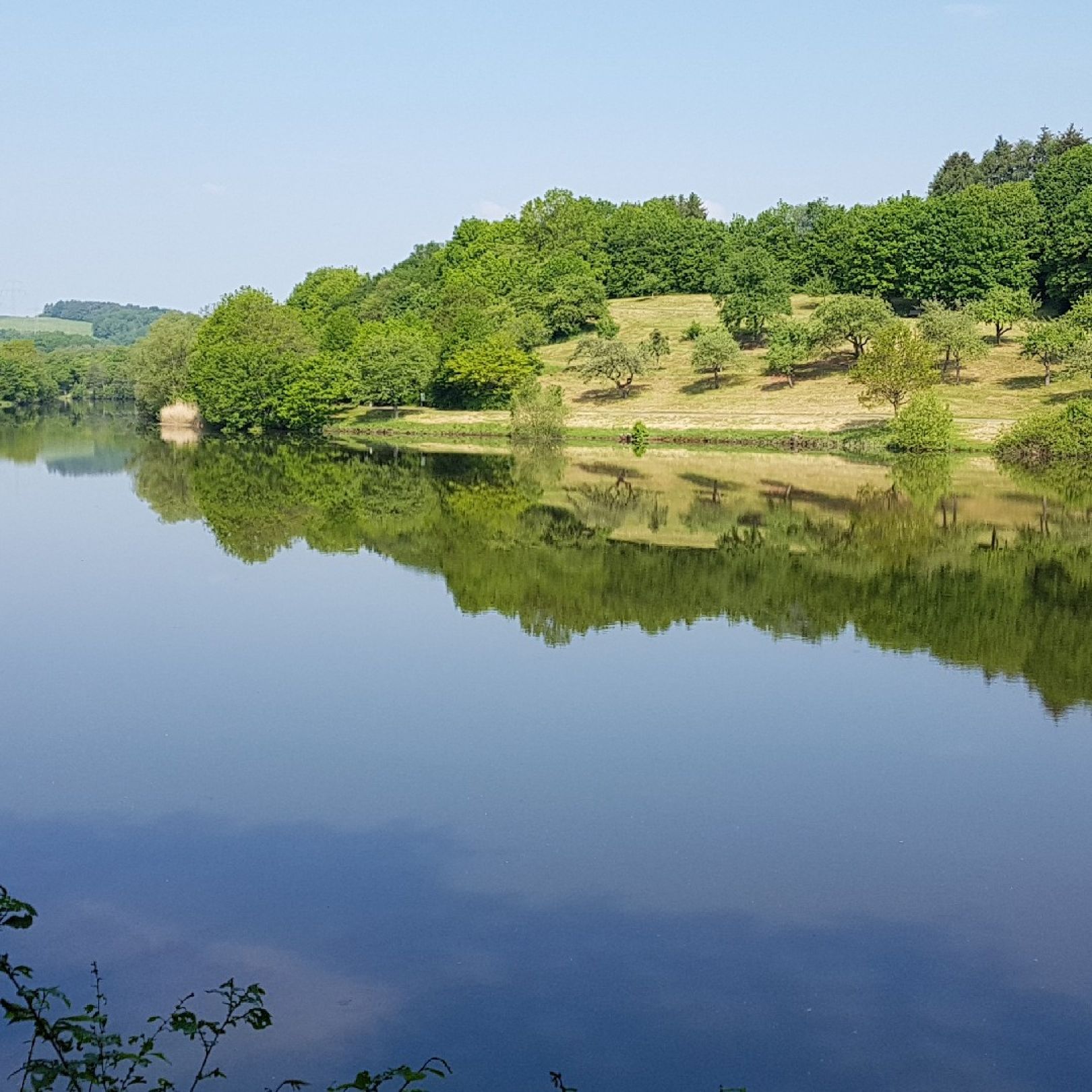 Ohmbachsee (Schönenberg) angeln