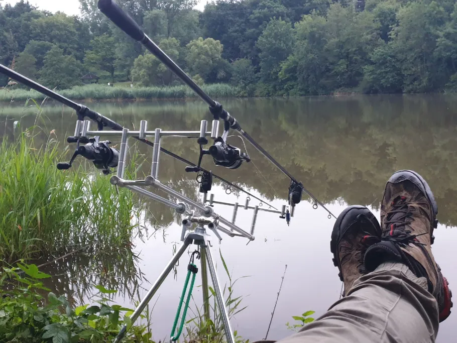 Ohmbachsee (Schönenberg) angeln