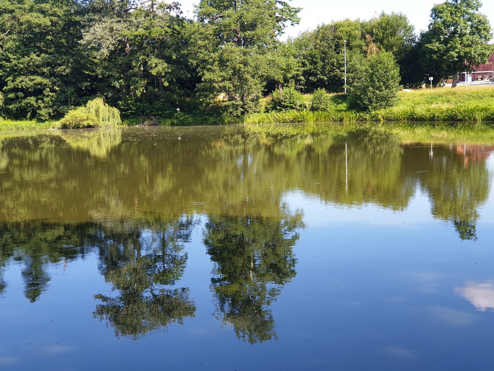 Großmanns-Teich (Großröhrsdorf) angeln