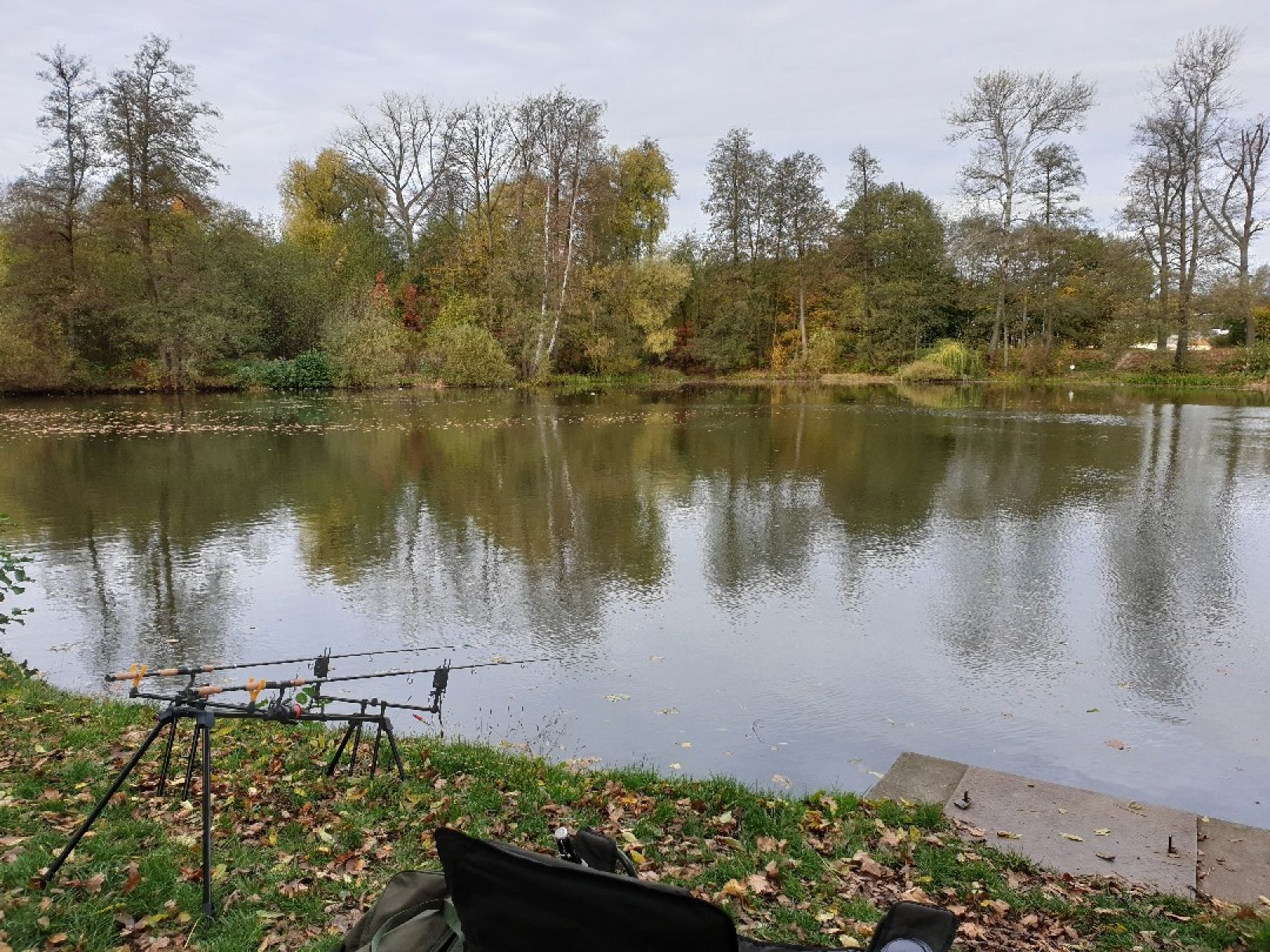 Großmanns-Teich (Großröhrsdorf) angeln