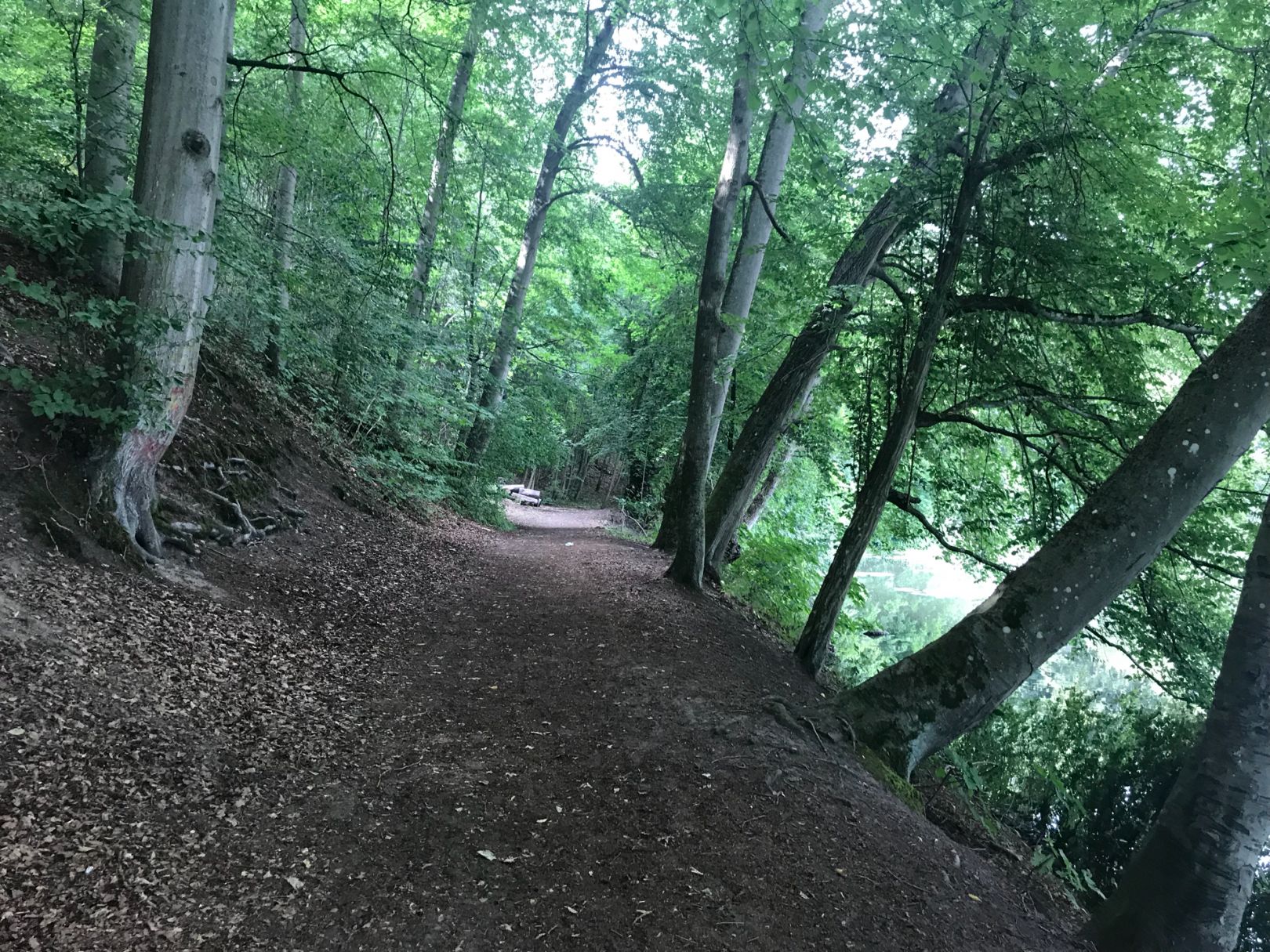 Mühlenteich hinterste Mühle angeln