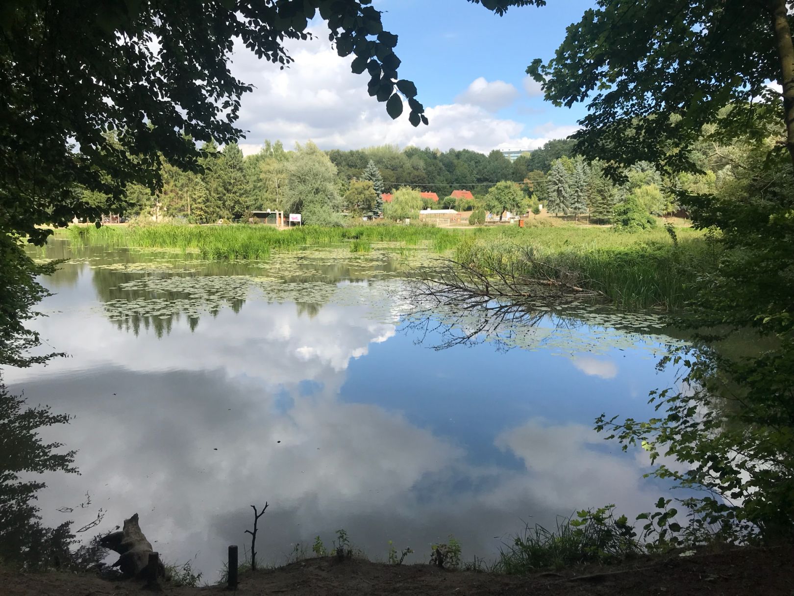 Mühlenteich hinterste Mühle angeln