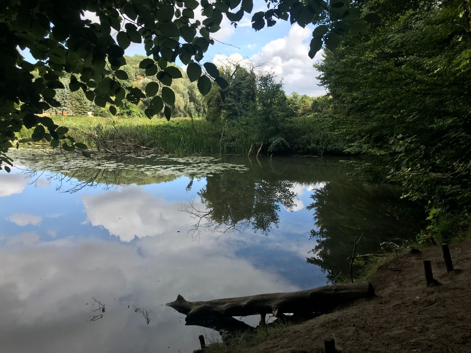 Mühlenteich hinterste Mühle angeln