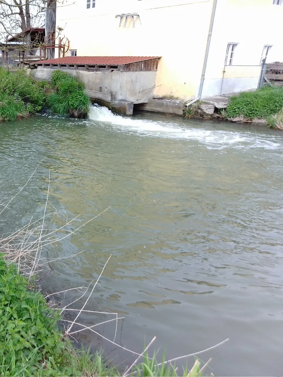 Kleine Laber (Mallersdorf-Pfaffenberg) angeln