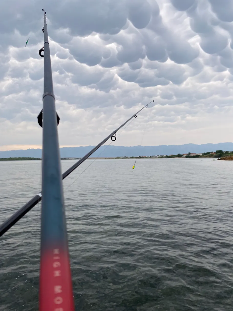 Adria (Privlaka) angeln