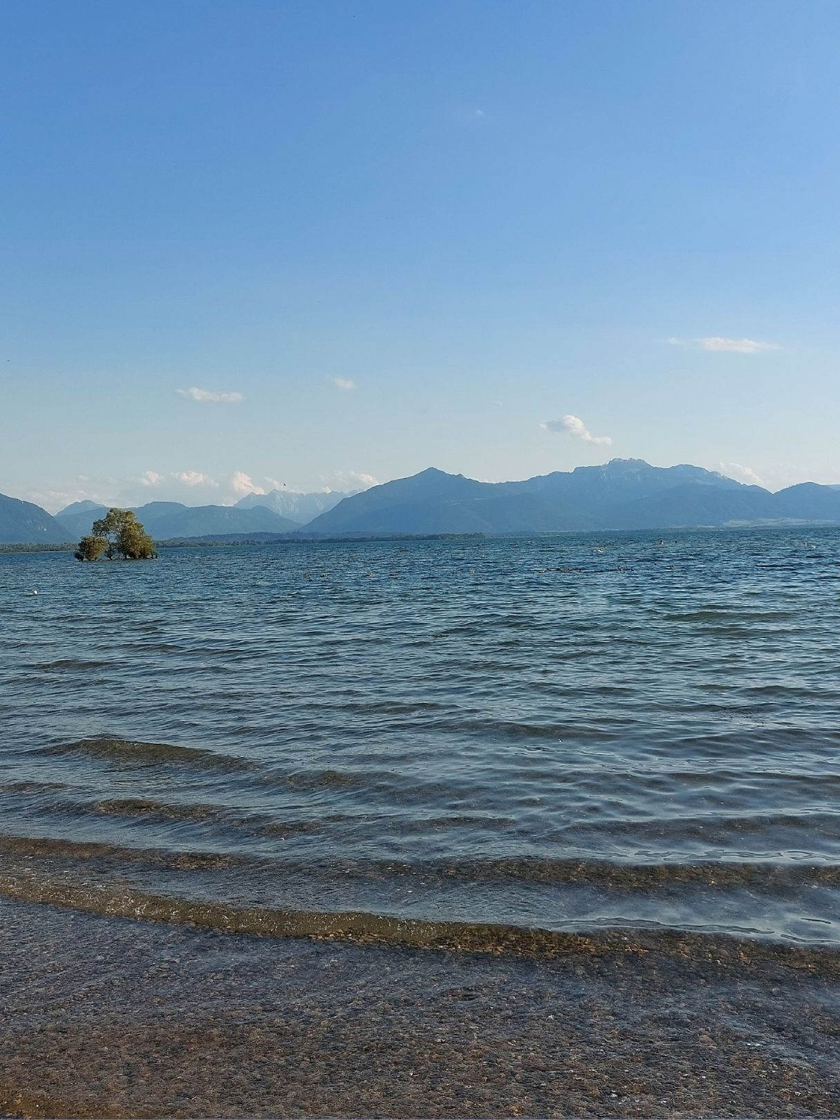Chiemsee angeln