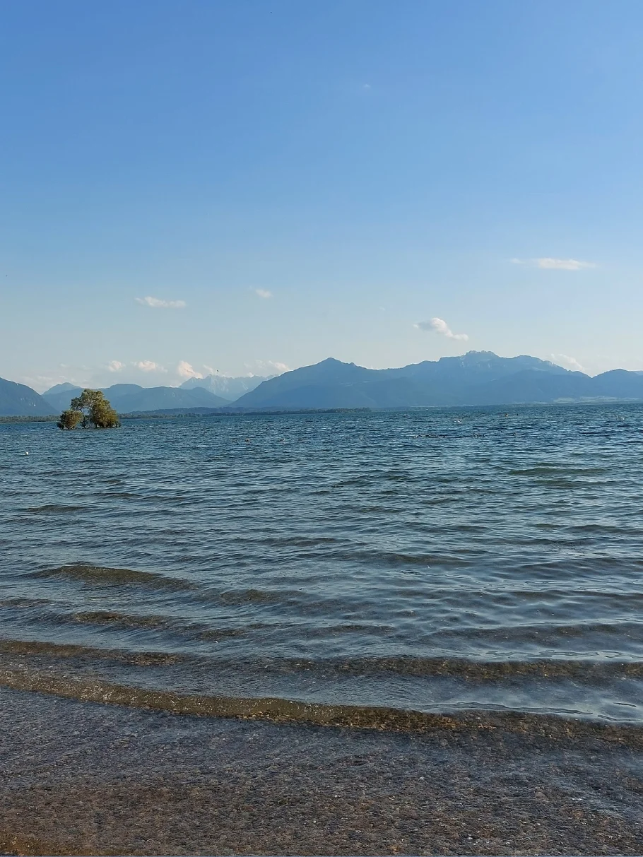 Chiemsee angeln