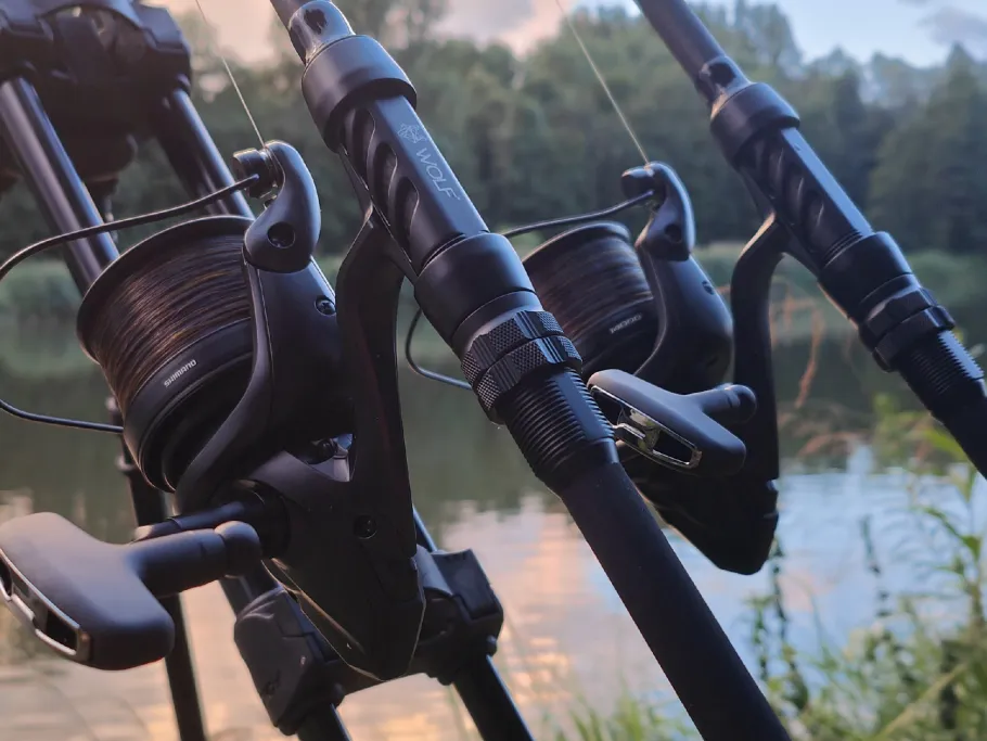 Donau (Dillingen/Donau) angeln