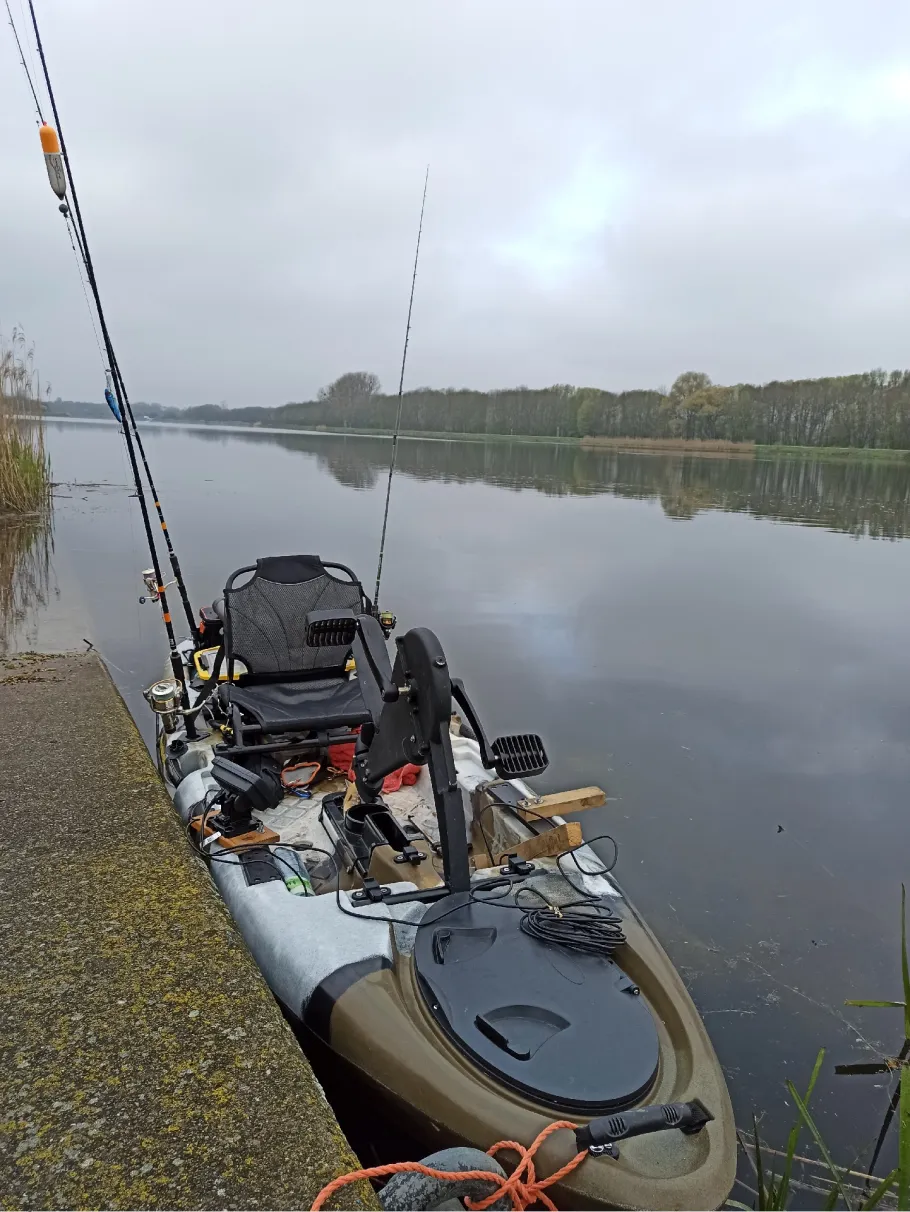 Donau (Donauwörth) angeln