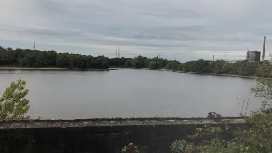 Silbersee (Neuss - Dormagen)