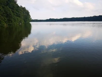 Wolziger See (Zossen)