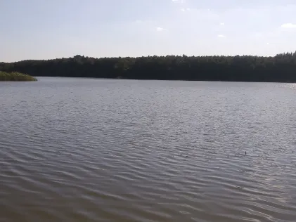 Lindesee (Löwenberg)