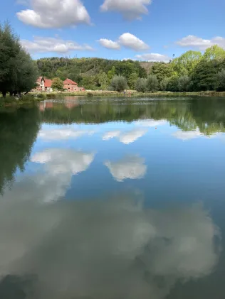 Fischzucht Obermühle Beine