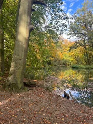Pleiße (Leipzig)