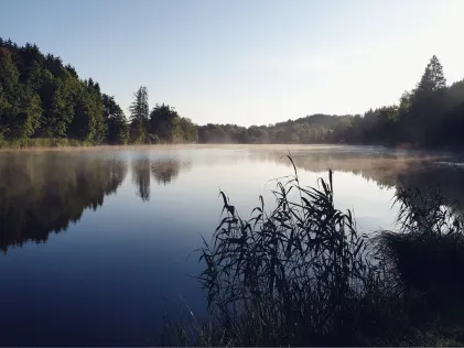 Lauser Weiher (Unterlaus)