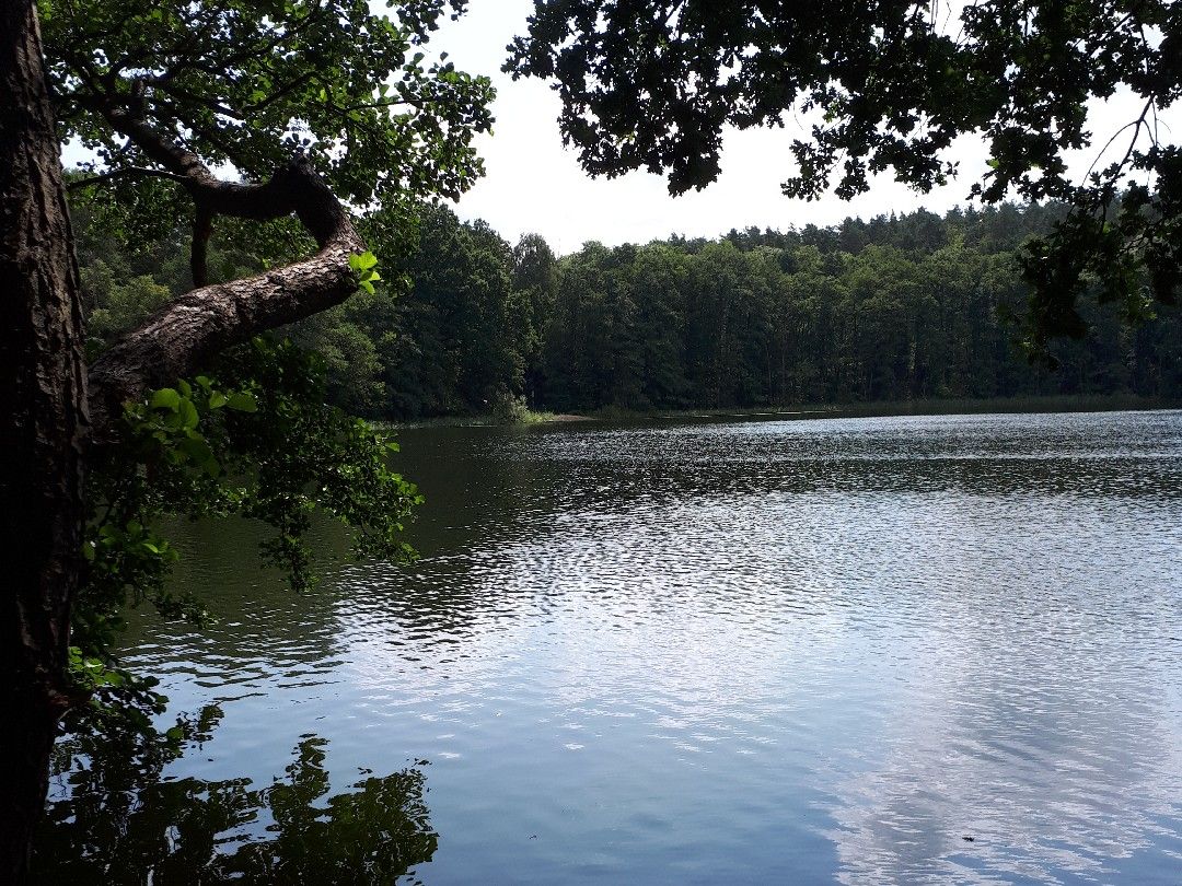 Wötielsee (Blumenholz) angeln