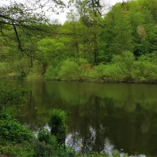 Flöha (Grünhainichen-Borstendorf)