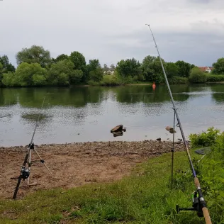 Main (Wörth/Erlenbach)