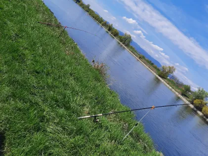 Donau (Winzer)