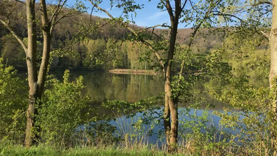 Bruchteiche (Bad Sooden-Allendorf)