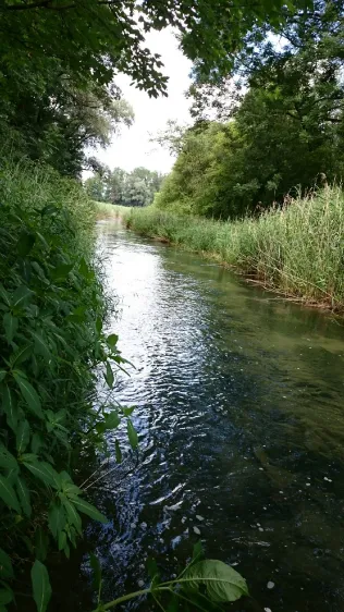 Husarengraben (Flintsbach am Inn)