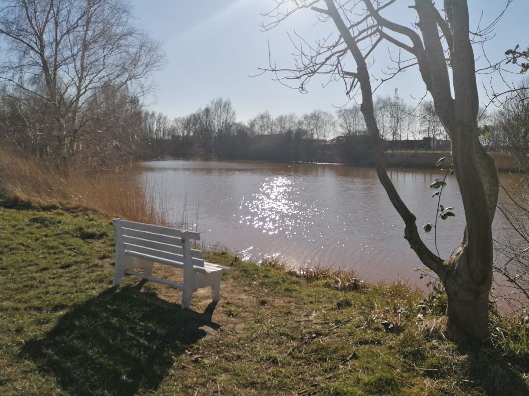 Marschensee (Langen) angeln