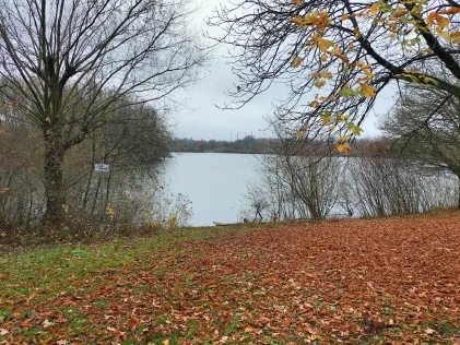 Neuer Teich (Wolfsburg)