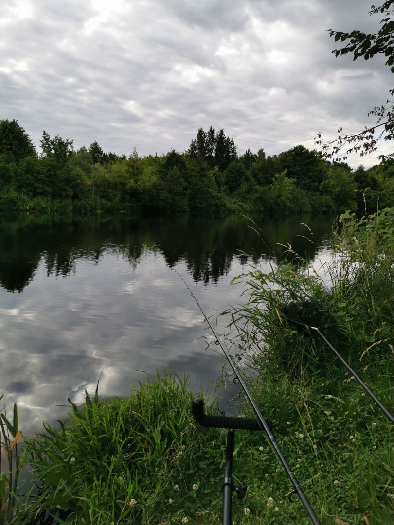 Havelkanal (Brieselang) angeln