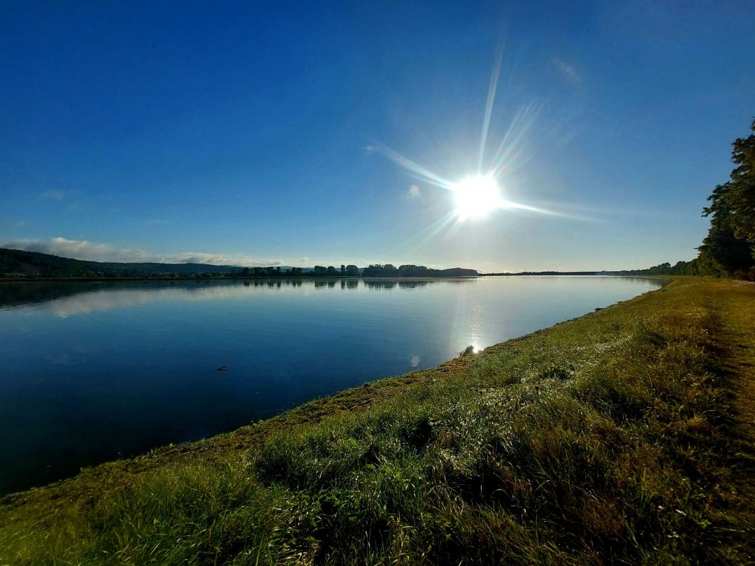 Donau (Bach an der Donau) angeln