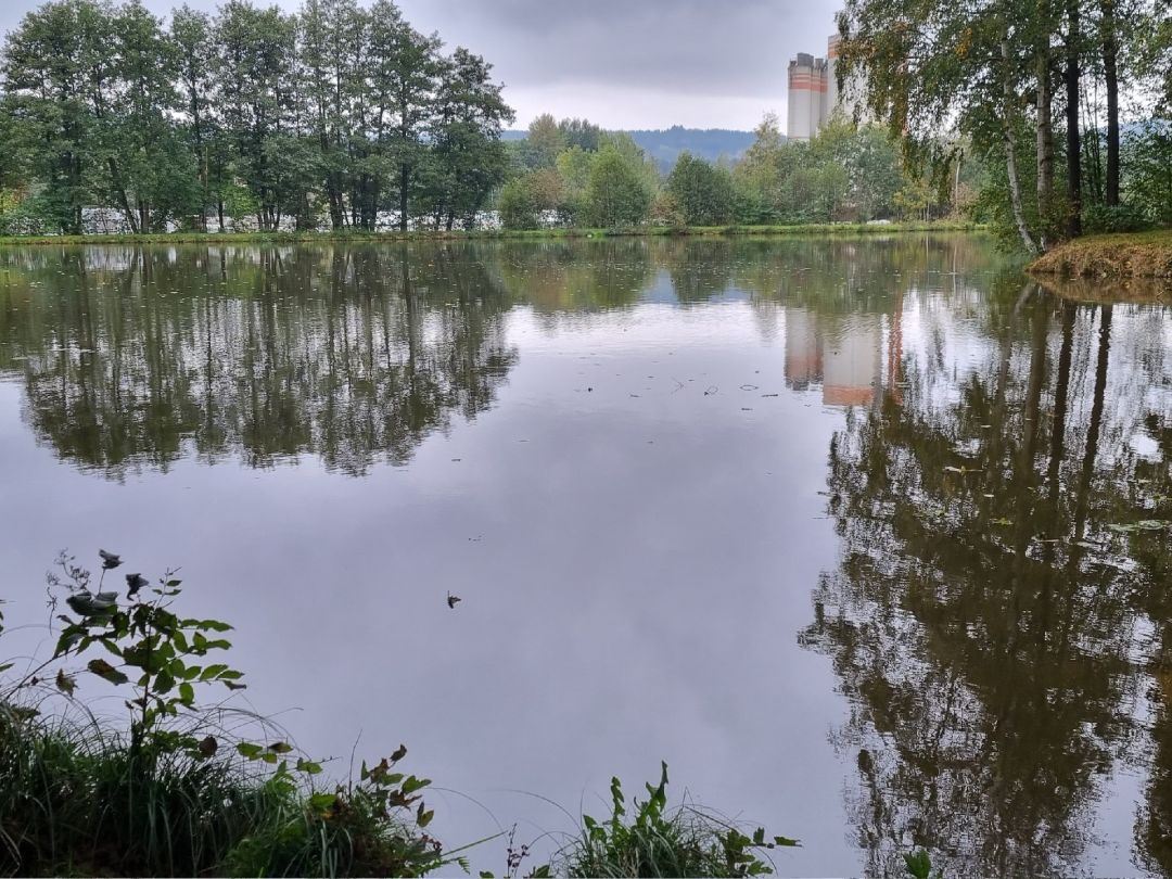 Friesenweiher (Tröstau) angeln