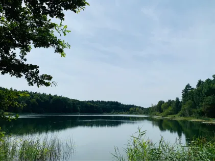 Kleestensee