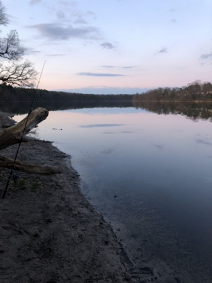 Straussee (Strausberg) angeln