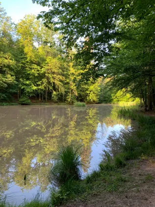 Markteich (Herrenberg)