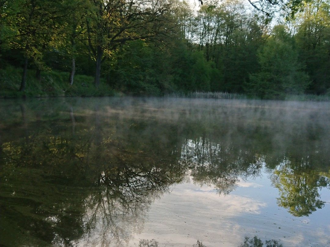 Grünfelder Teich angeln