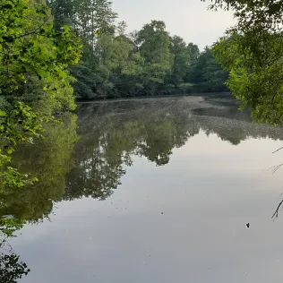 Pulternsee (Delmenhorst)