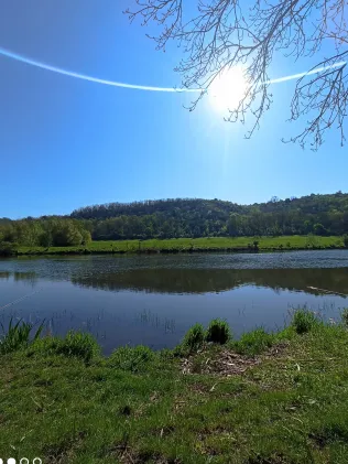 Saale (Friedeburg)