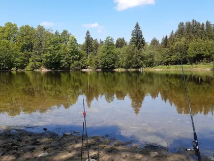 Fronreitner See