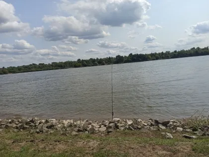 Rhein (Götterswickerhamm)