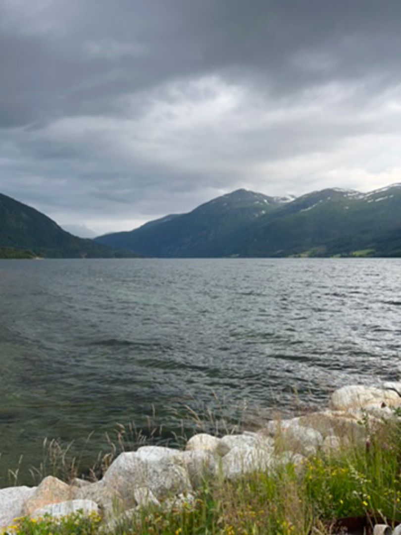 Todalsfjord angeln