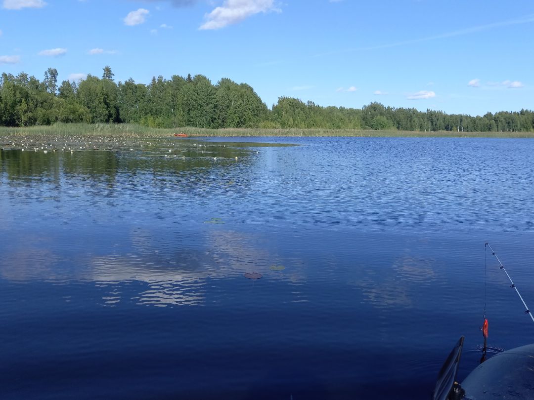 Päijänne angeln