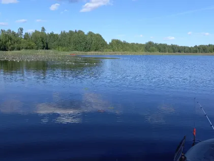 Päijänne