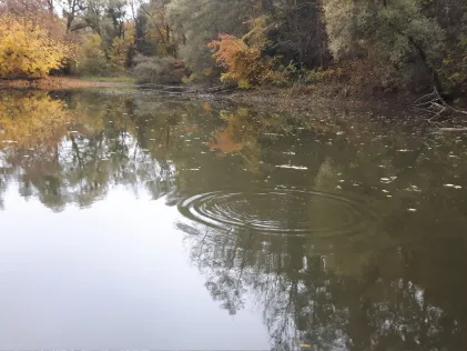 Ziegelweiher Lochhausen