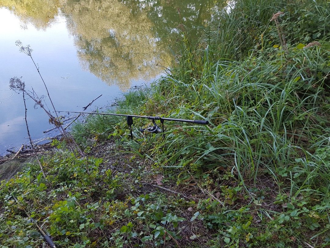 Auensee (Ettringen) angeln