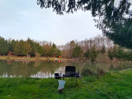 Angelteich Rohr (Burgauberg)