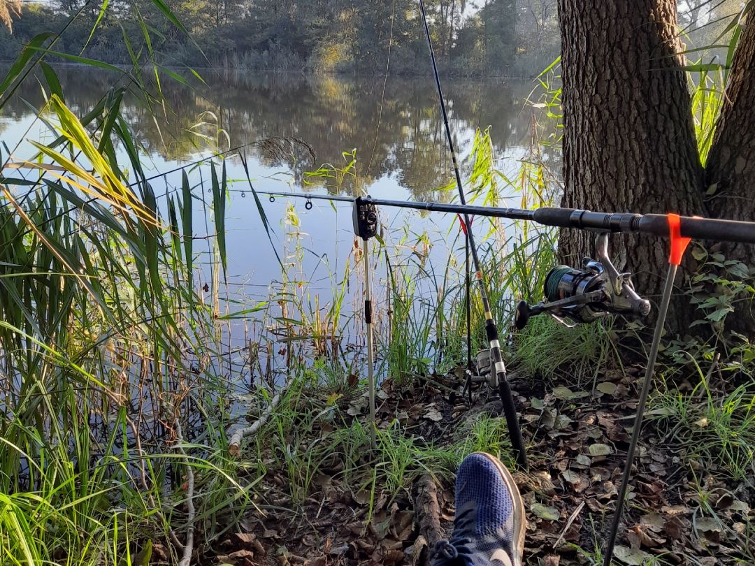 Krummer See (Potzlow) angeln