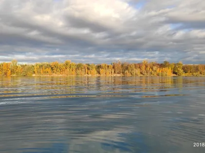 Peterhafen / Peterkanal (Rheinau)