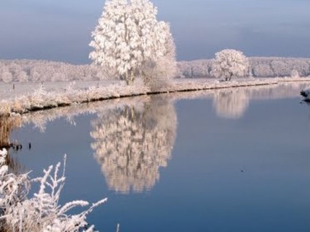 Angeln in Blievenstorf